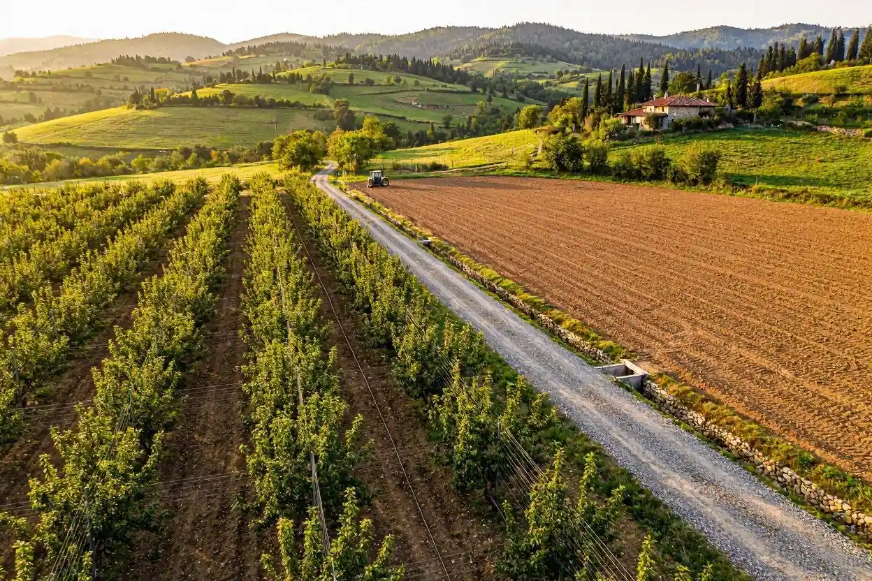 Sakarya'da Tarla Yatırımı Yapılır mı? 2026 Toprak ve Tarım Rehberi